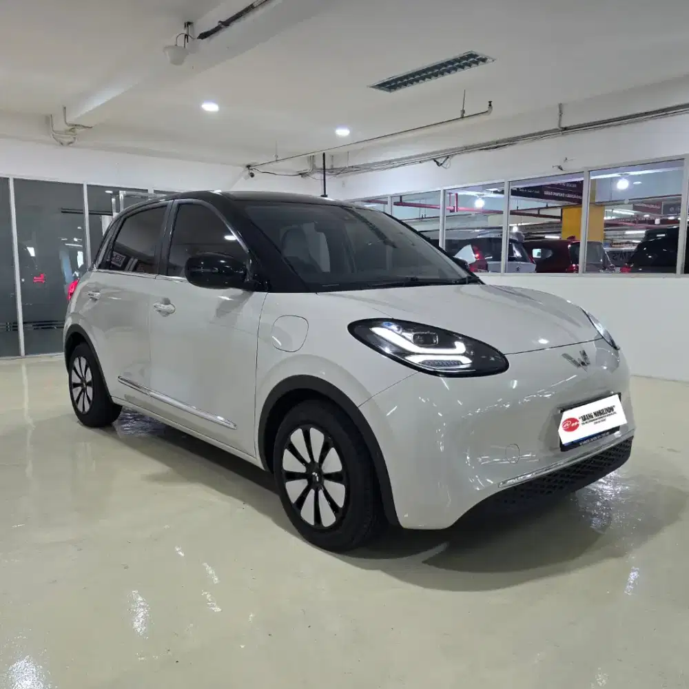 [ TDP 5JT ] Wuling Binguo EV Premium Range 410 2025 NIK 2024