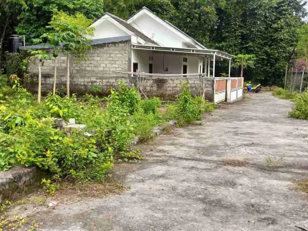 Pekarangan di Selomartani