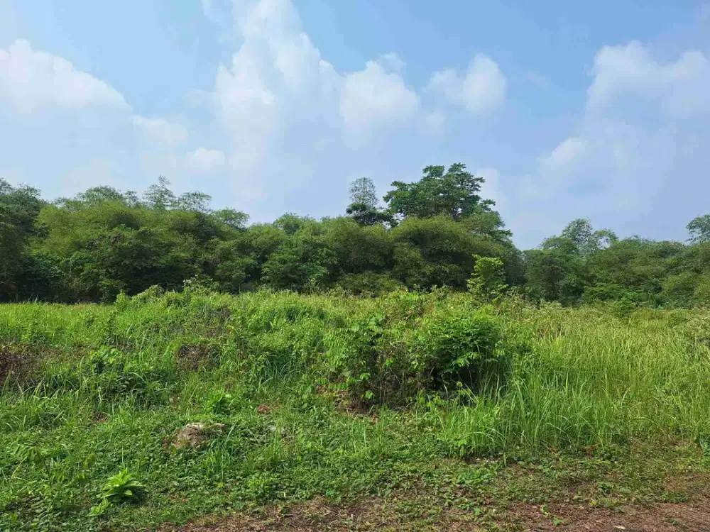 Dijual tanah Kavling lokasi dkt masjid di Citra Indah City Jonggol