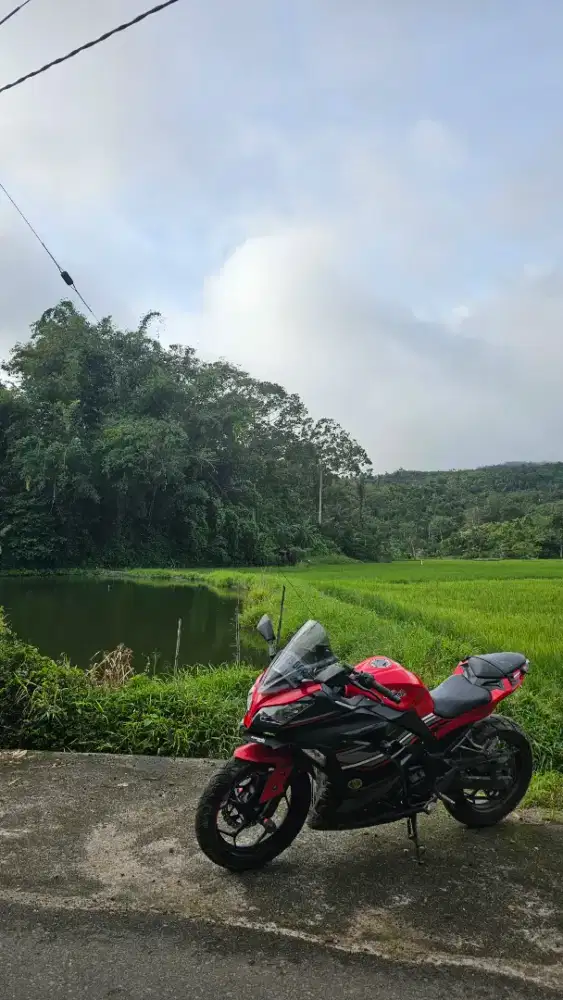 Kawasaki Ninja 250 FI ABS 2017