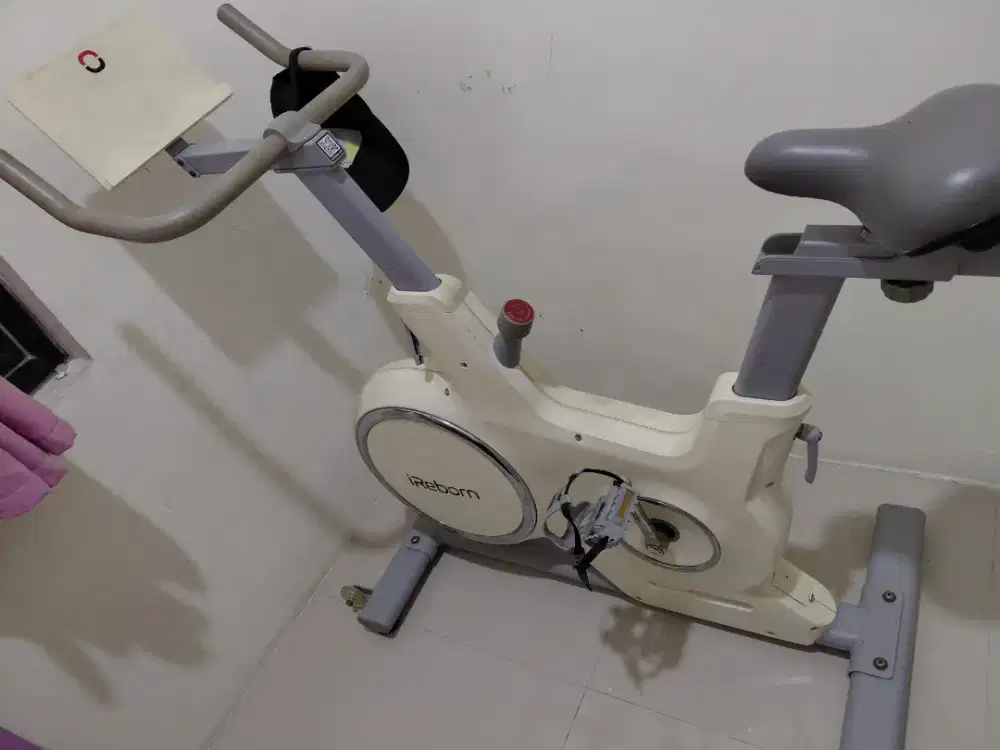 Sepeda Statis Spin Bike iReborn Revo