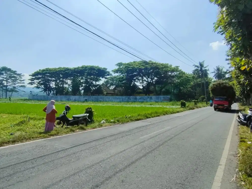 Tanah Super Strategis di Jalan Raya Tlogowaru – Cocok Investasi Besar