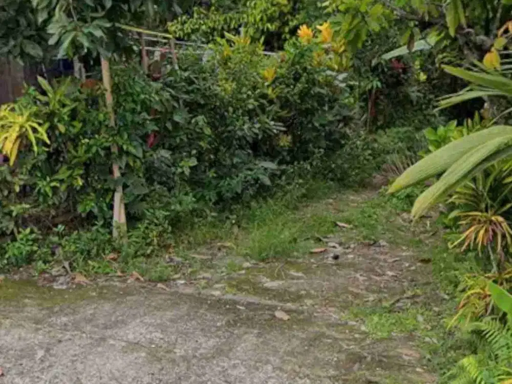 Tanah dekat tol gilimanuk-mengwi