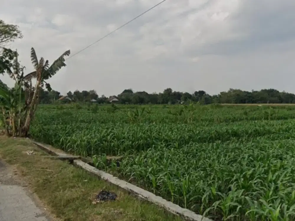 Dijual Lahan Zona Industri Lokasi Sumberlawang,Sragen Luas 4 Ha