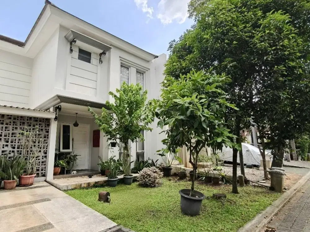 Fresco Aria Foresta BSD