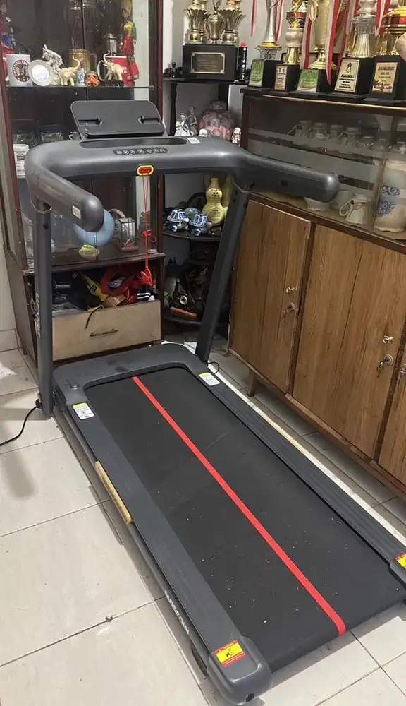 TREADMILL IREBORN New Moscow