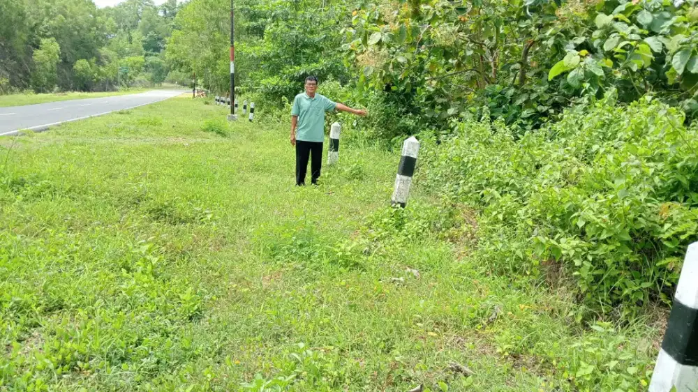Jual tanah di Tepus Gunung Kidul