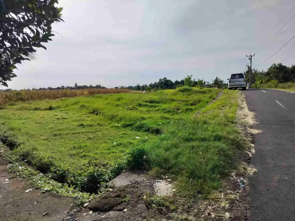 jual tanah murah sesa serampingan..megati. 36 are hrga 60/ are