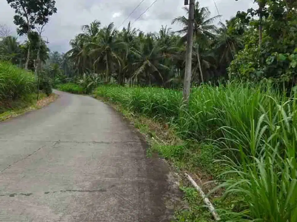 JUAL TANAH DI SENDANGSARI PENGASIH KULONPROGO