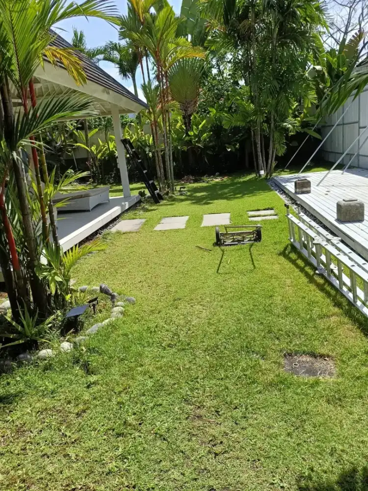 Jual tanah premium ada di UmaLas Canggu Bali lingkungan villa n resto