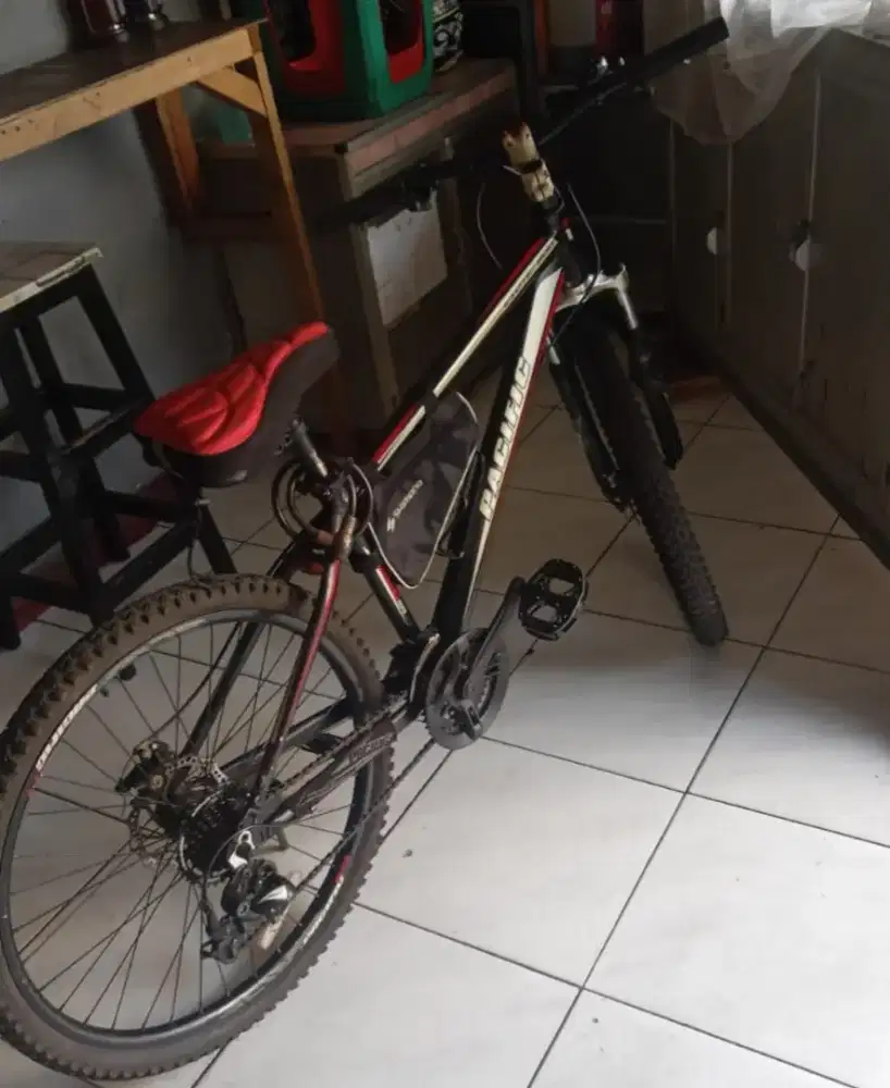 Sepeda pacific exotic 200