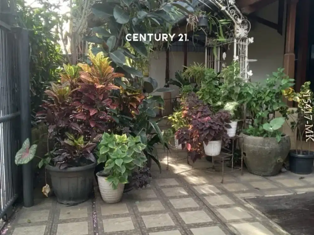 Dijual Cepat Rumah Terawat Asri Strategis Bangka Mampang