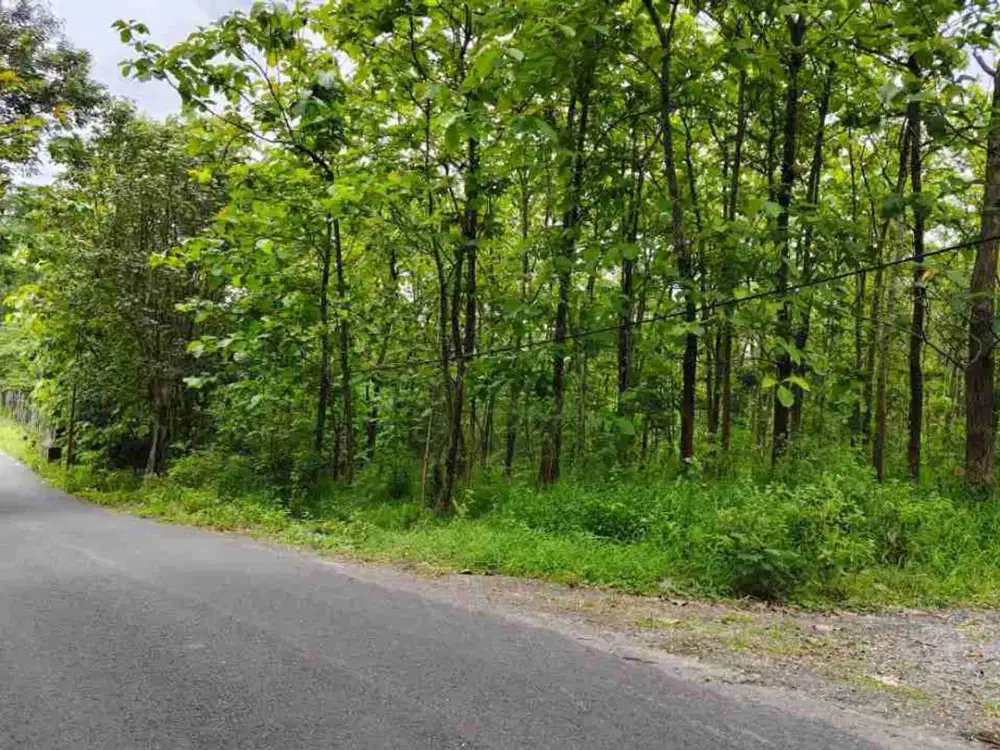 Tanah Murah Luas 14 Ha Kawasan Industri dan Gudang di Karanganyar