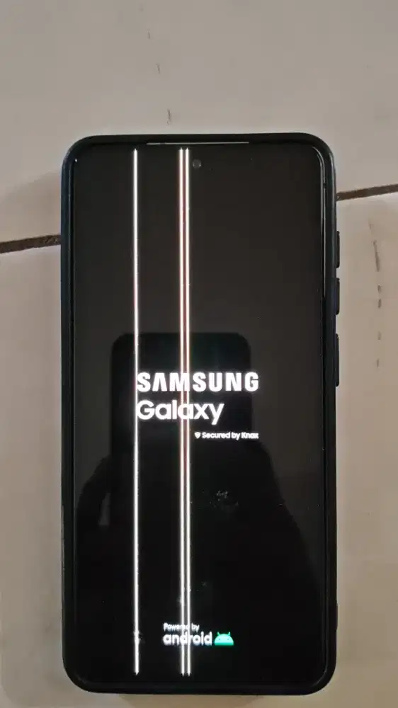 Samsung Galaxy S21 FE