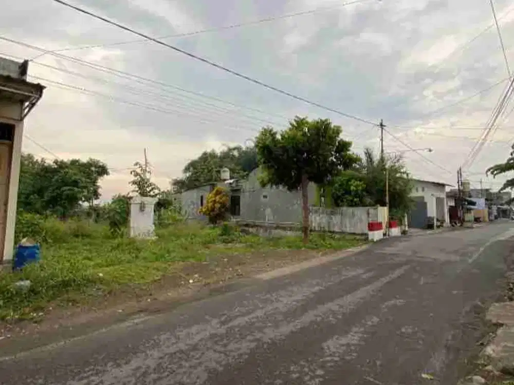 Jual murah tanah di kampung inggris pare