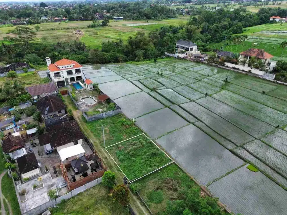 Tanah View Sawah Lingkungan Pedesaan di Buwit Tabanan