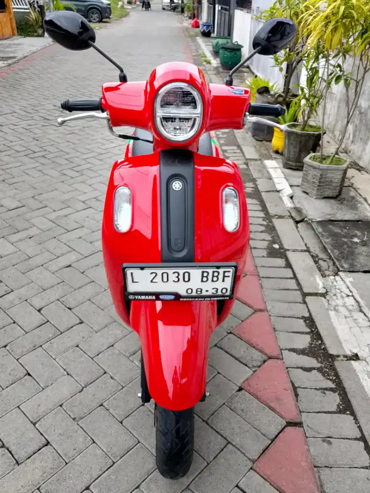 Fazzio 2025 Istimewa