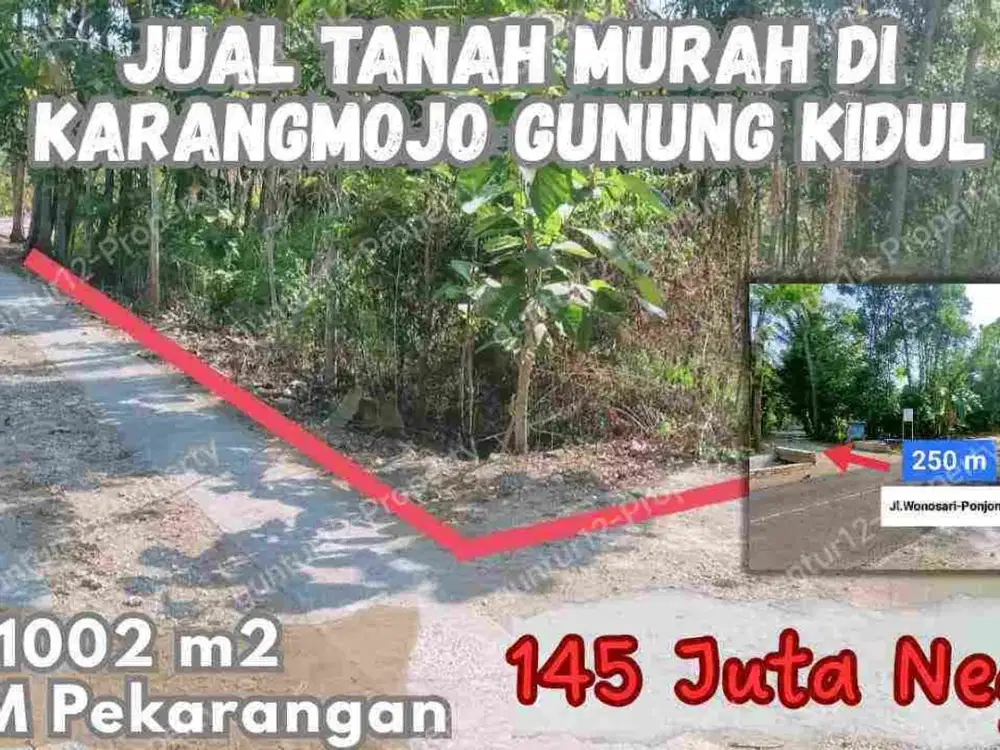 Jual Tanah murah Pekarang Dekat Kota Karangmojo Gunungkidul Yogyakarta