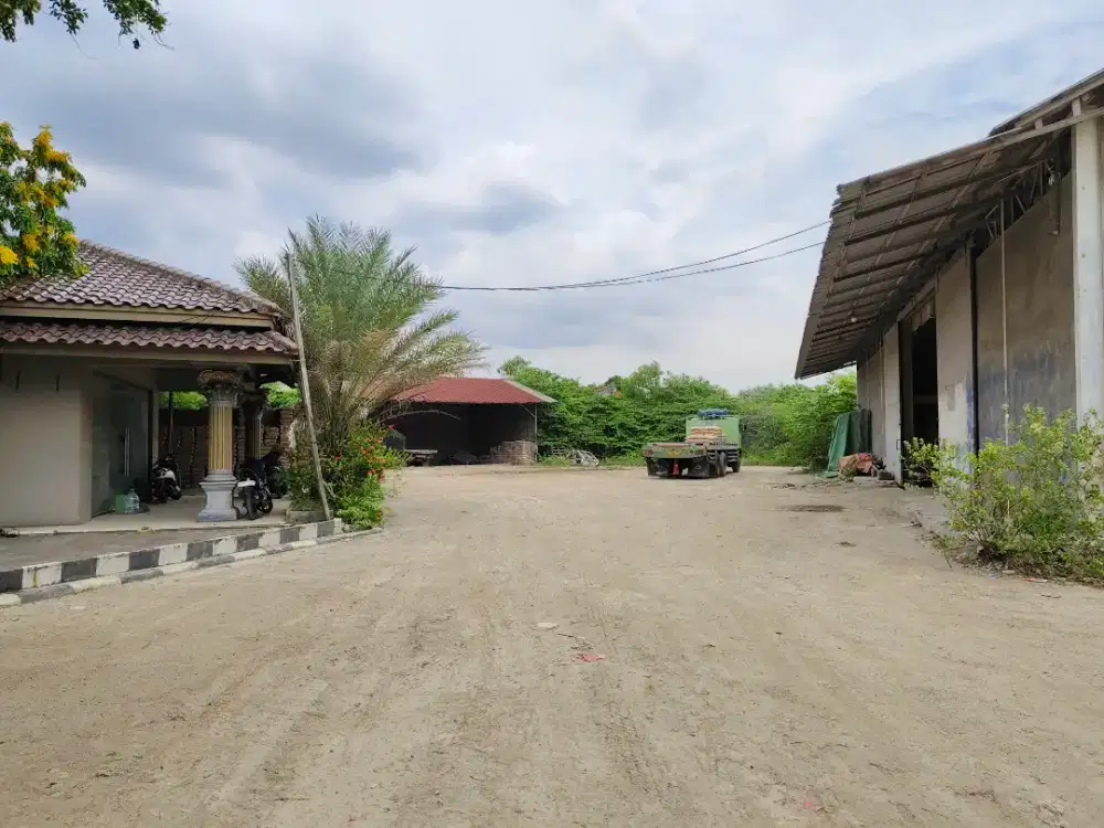 Tanah Murah Bonus Bangunan di Marunda, Cilincing, Jakarta Utara