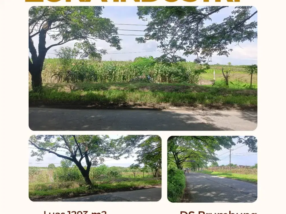 Tanah Luas Pinggir Jalan Raya Brumbung Mranggen Demak Cocok Untuk Usaha dan Industri