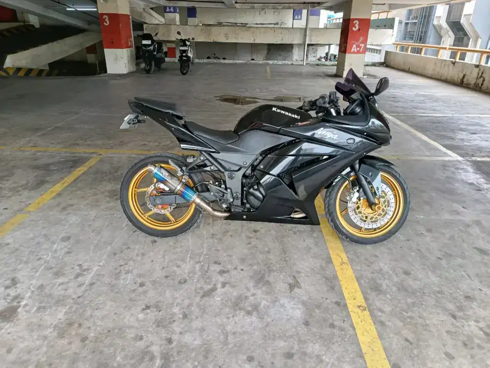 Ninja 250 Karbu