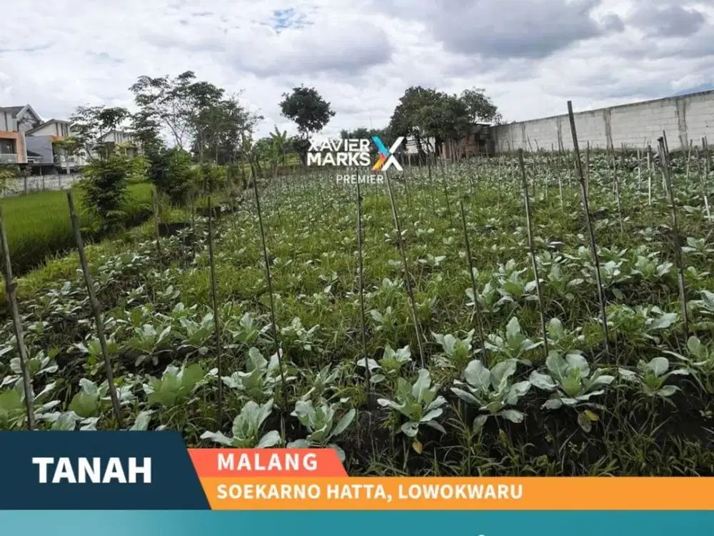 Dijual Cepat Tanah Premium Super Strategis di Soekarno Hatta Malang