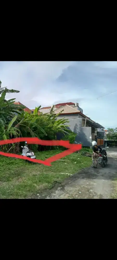 Dijual tanah murah 1 are di jln mekar pemogan denpasar bali