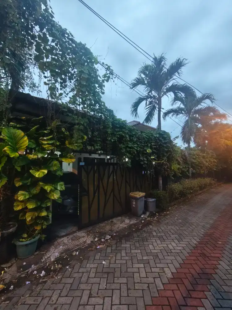 Rumah Hook di Depok bebas banjir dan tenang