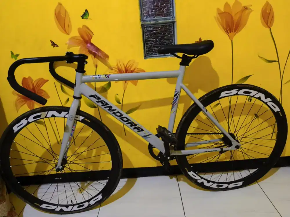di jual sepeda fixie pandora ( nego )