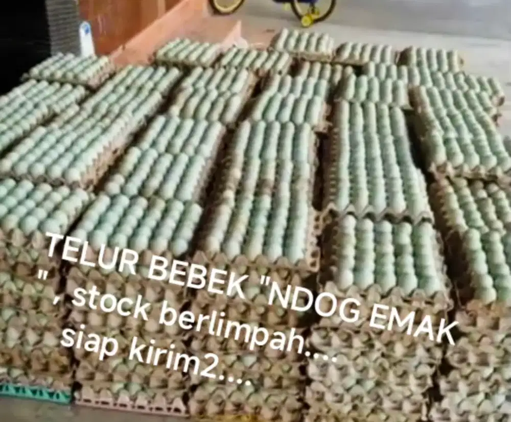 Telur Bebek NDOG EMAK