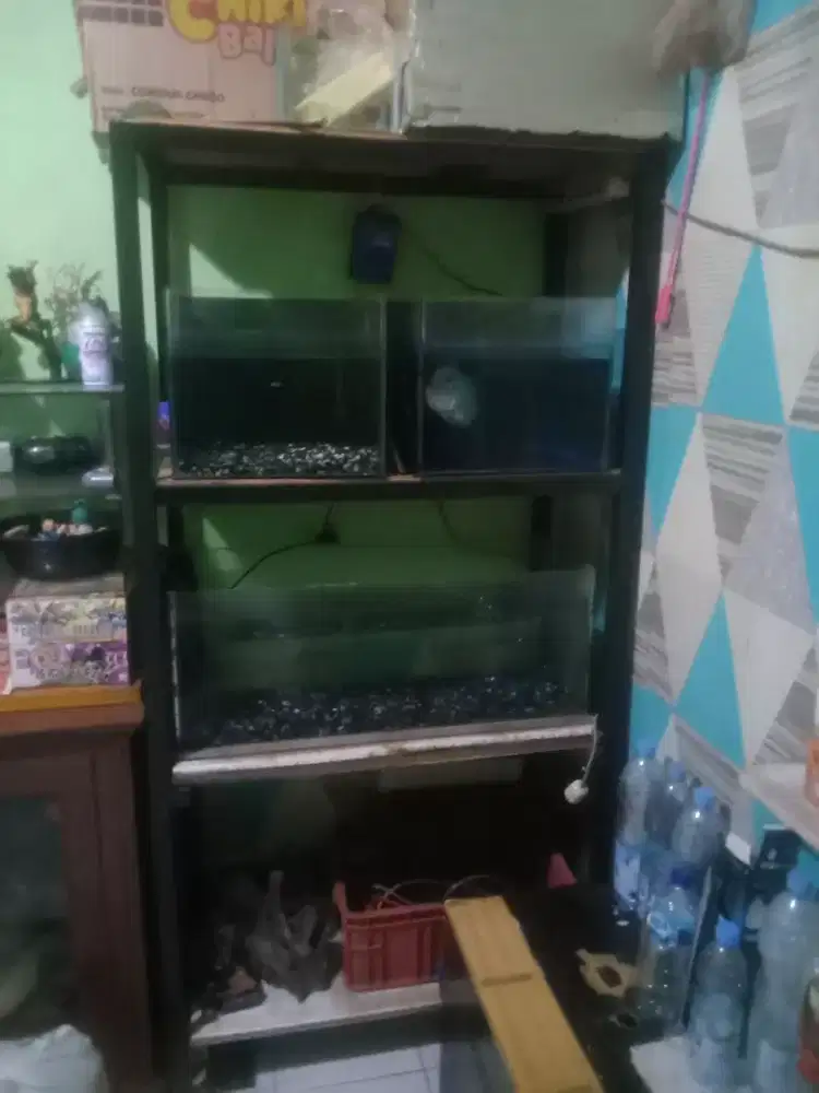 Rak siku 4 susun  + aquarium
