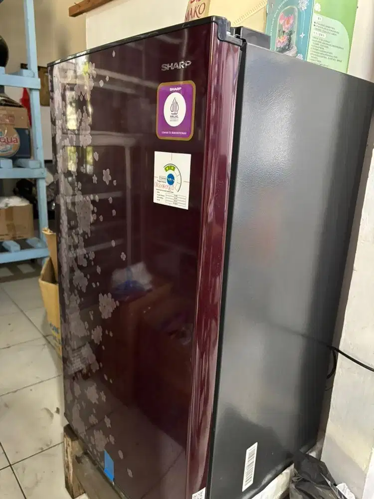 Kulkas Sharp 1 pintu