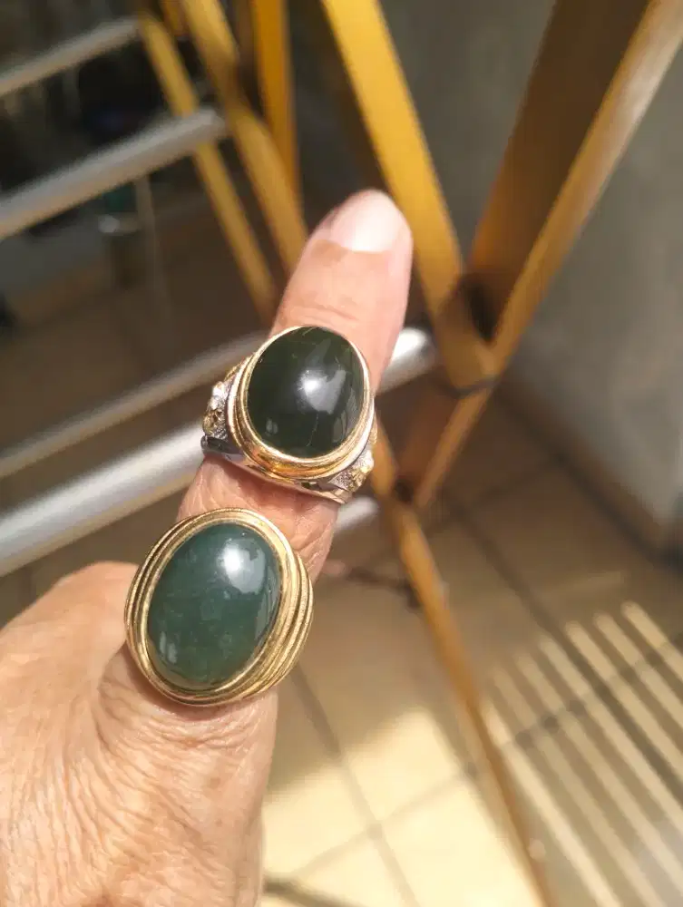 Batu Lumut Aceh (borongan) 2 pcs