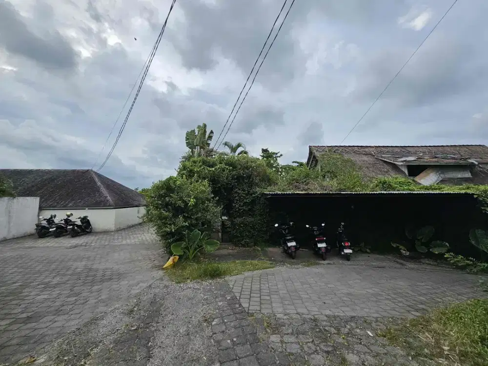 Dijual 

Tanah Komersil Los Sungai & View Sawah di Dekat  Canggu Bonus villa mangkrak