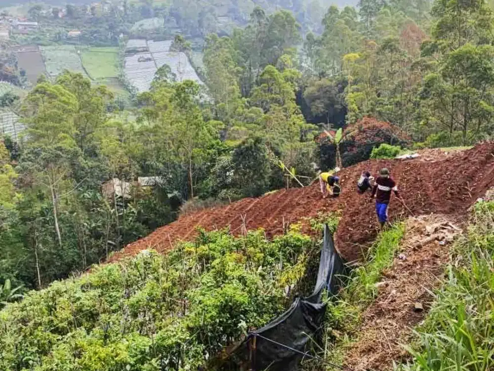 Dijual 

Tanah Murah Lereng Cimenyan Padasuka Kabupaten Bandung