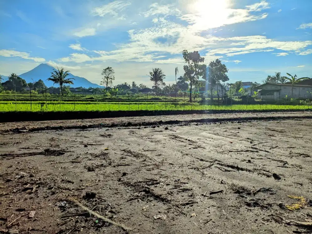 Kavling Jogja Adem dengan Suasana Asri View Merapi