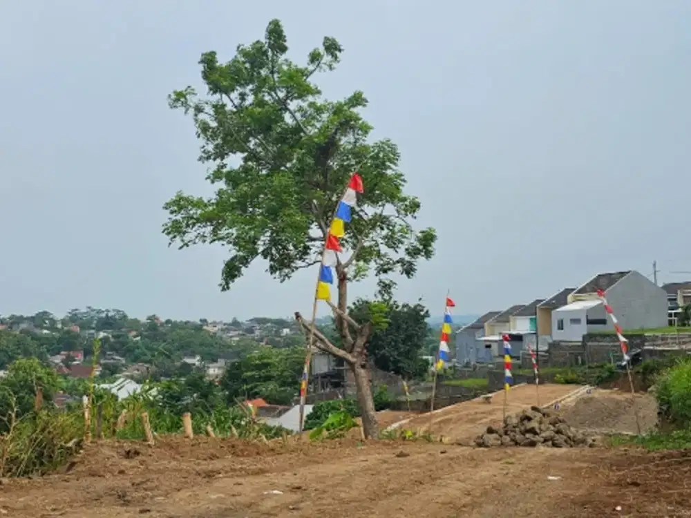 TANAH KAVLINGAN TERLARIS DI KELASNYA MANGUNHARJO TEMBALANG