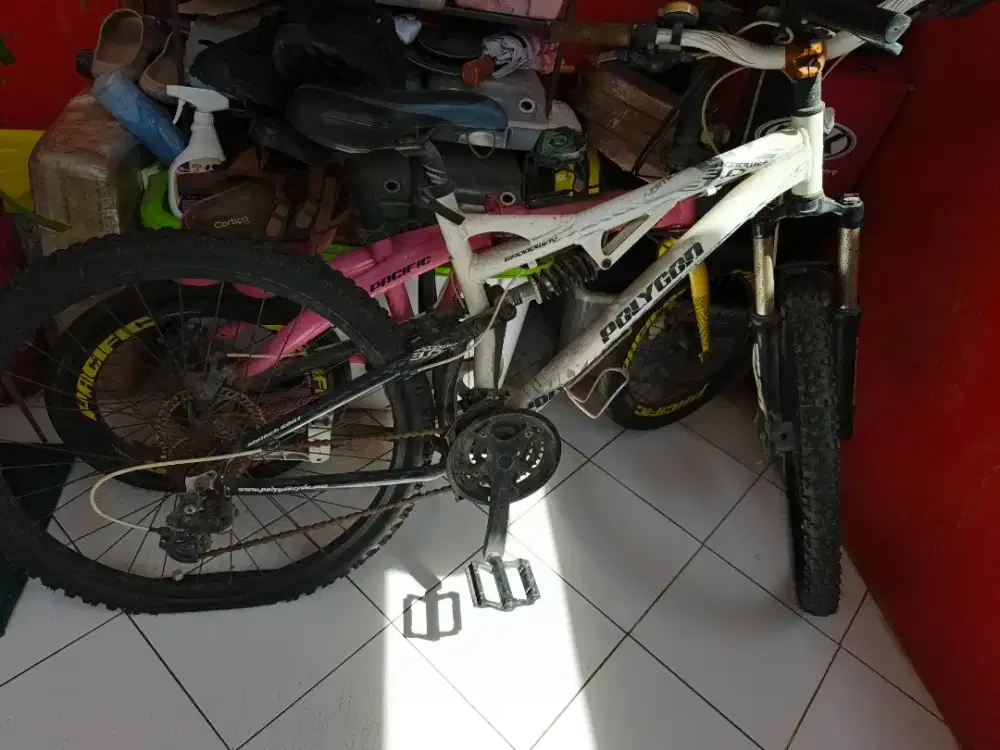 Sepeda polygon dan Pacific