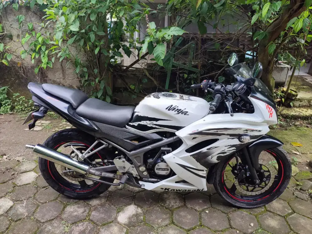 Ninja 150 rr new SE