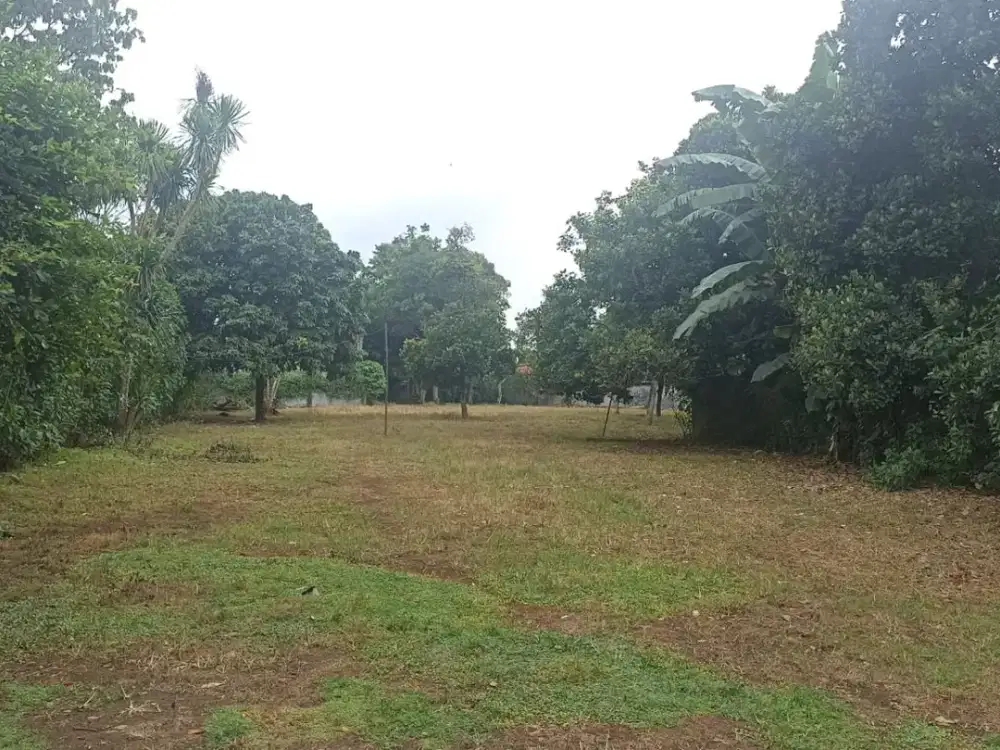 Disewakan Tanah Legok SHM di Babat Tangerang By Rumah Chinida (Dw)