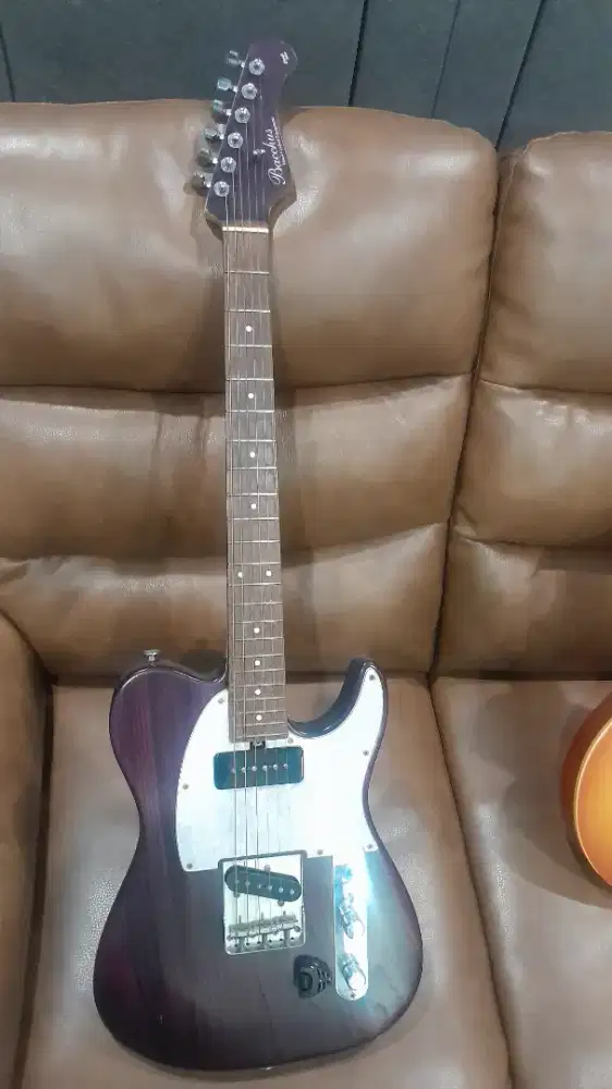 BACHUS ELRKTRICK GITAR