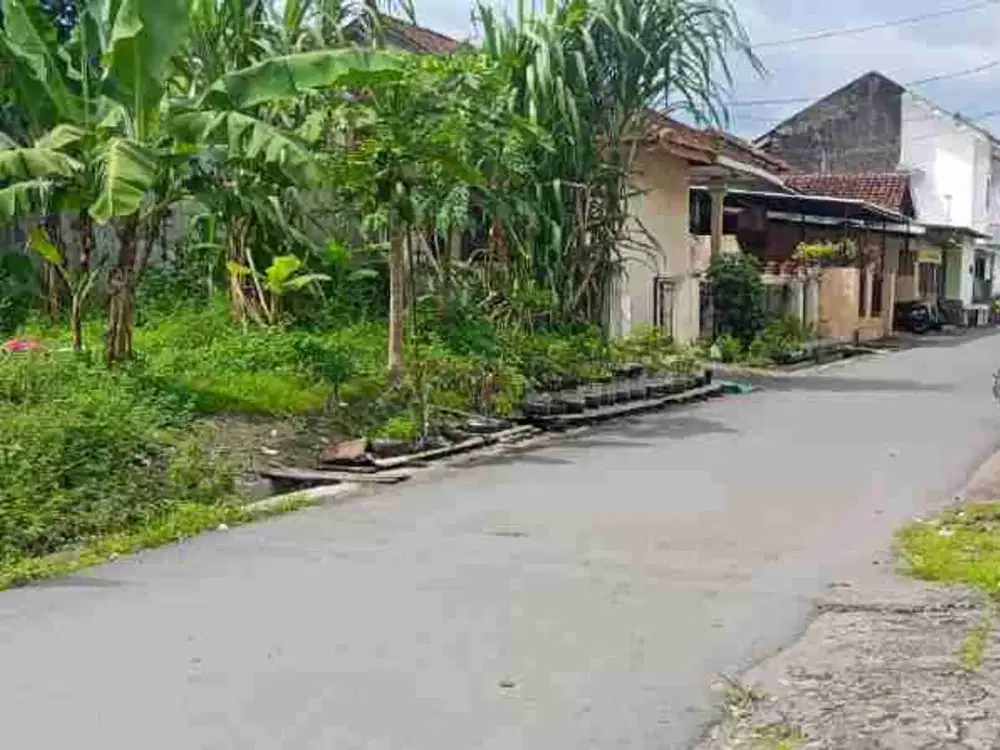 Jual Pekarangan Dekat  Kampus Sanata Dharma  Maguwoharjo