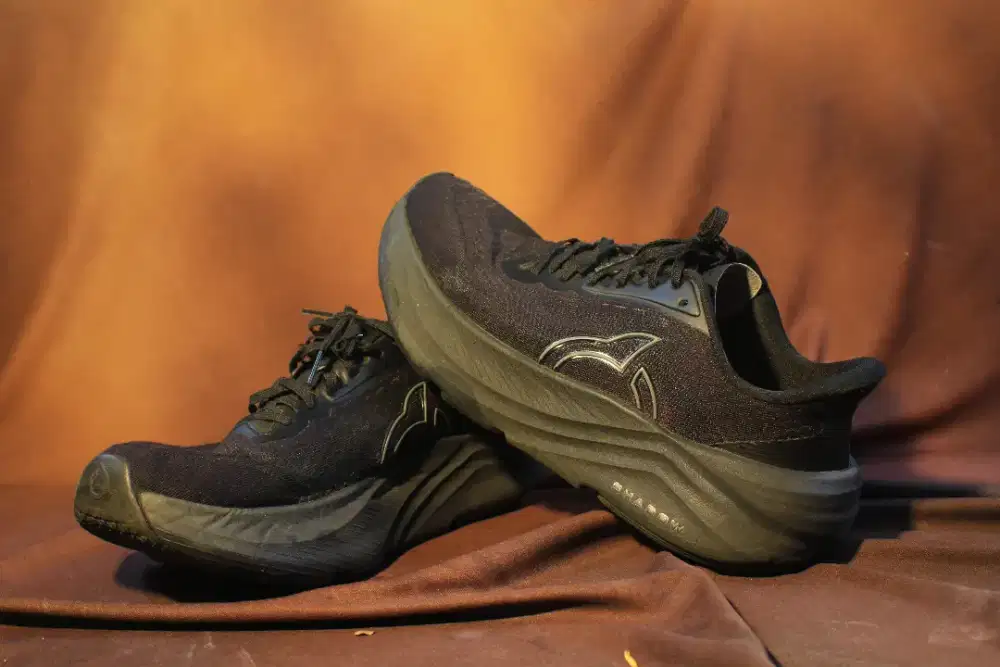 Ortuseight shadow - HSC 2025