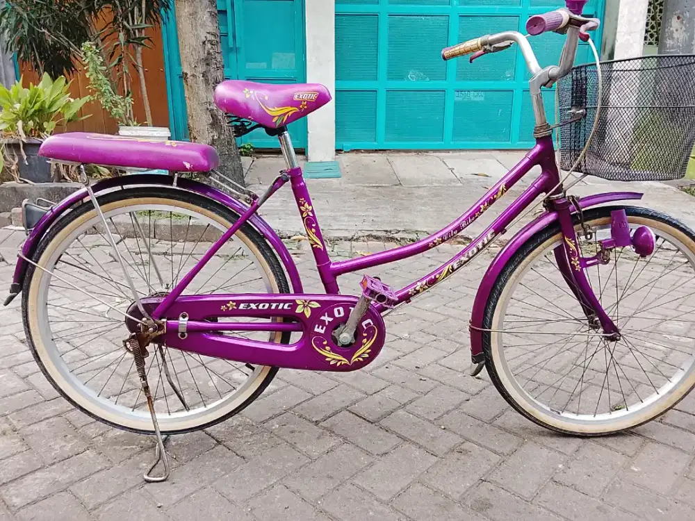 Sepeda mini keranjanh