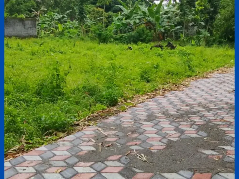 Tanah Kost Jogja Barat Jl Kaliurang 3 Menit Kampus UII