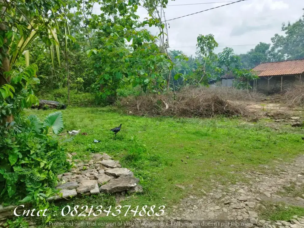 Dijual tanah di Pajangan Bantul dekat Bakal Kampus UIN, cocok untuk usaha kost