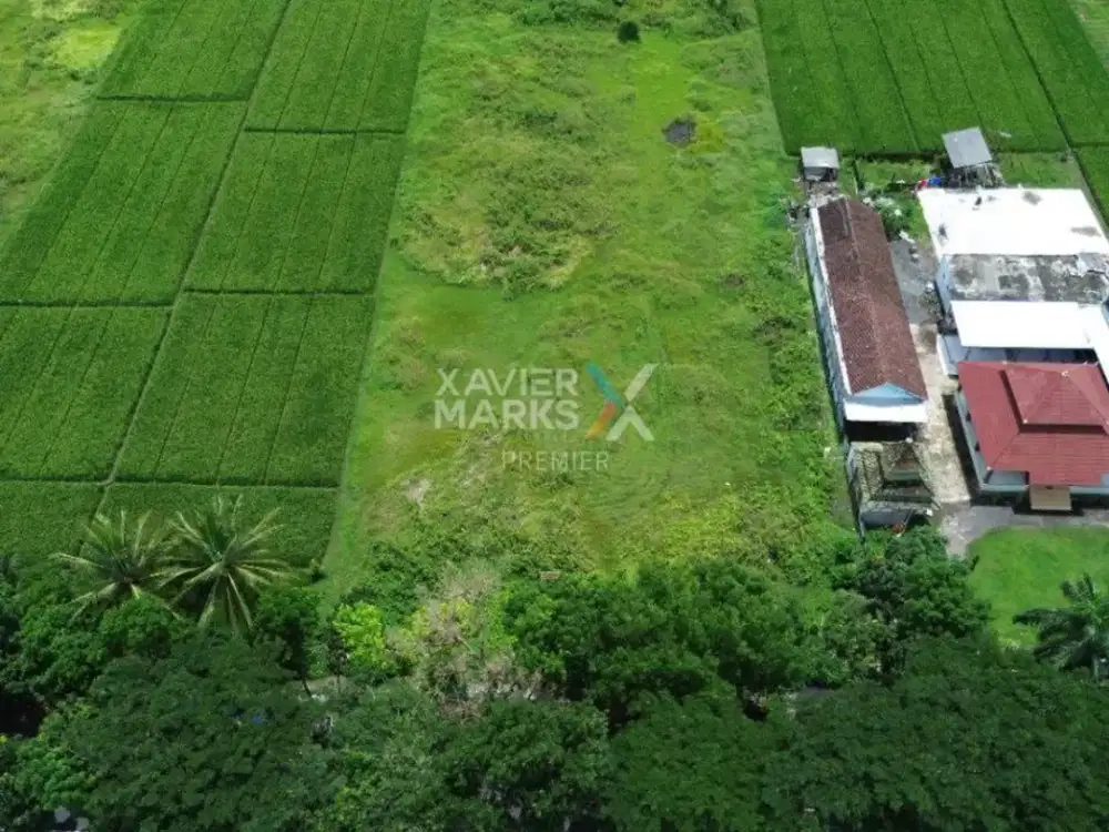 Dijual Tanah Luas di Jalan Raya Pepen, Mojosari Kepanjen Kabupaten Malang