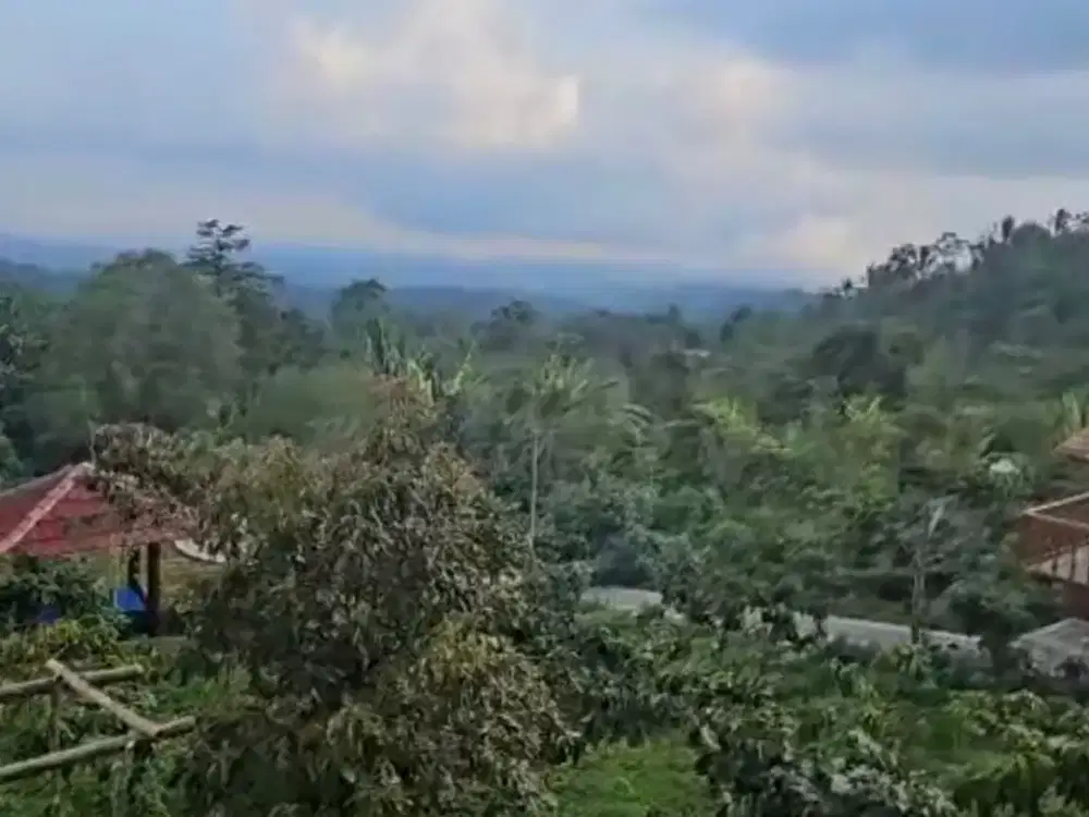 Tanah lingkungan wisata desa Sanda pupuan Tabanan Bali
