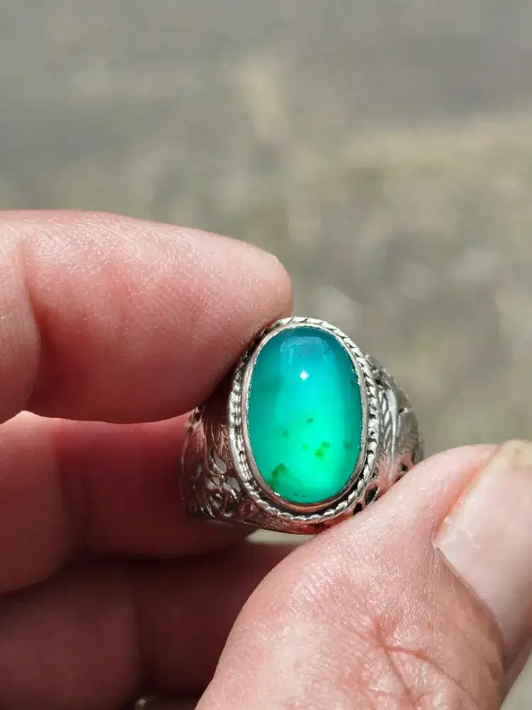 BACAN IJO METALIK GIWANG