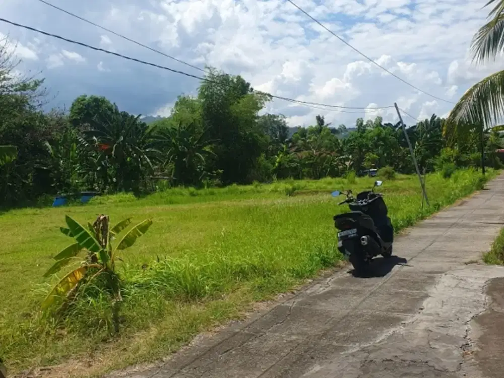 Tanah strategis Desa Dencarik Banjar Buleleng Singaraja